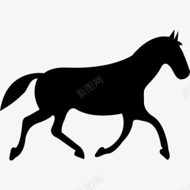 黑马行走的姿势图标图标