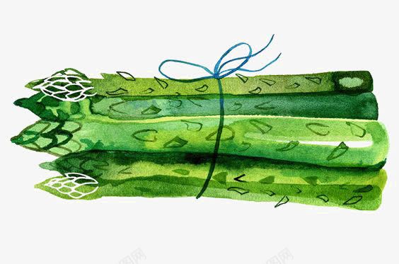 绿色竹笋png免抠素材_新图网 https://ixintu.com 一捆竹笋 创意蔬菜 实物 水彩植物 食材