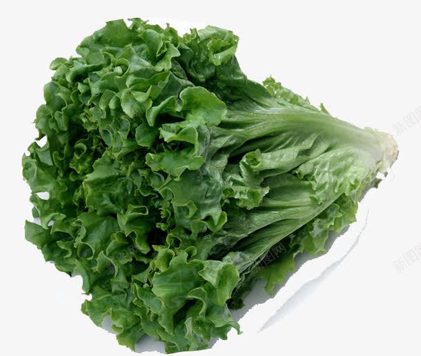 绿色蔬菜png免抠素材_新图网 https://ixintu.com 剩菜 绿色蔬菜 蔬菜 青菜