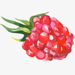水彩野果成熟桑葚水彩插画矢量图高清图片