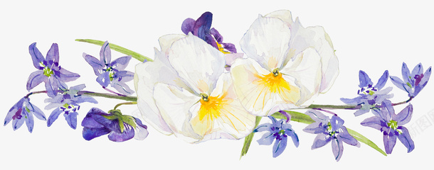 紫色花朵上的小白花png免抠素材_新图网 https://ixintu.com 手绘花朵 白色花朵 紫色花朵 花卉 花朵 花朵装饰