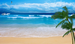 彩色沙滩球清凉一夏饮料海报背景高清图片