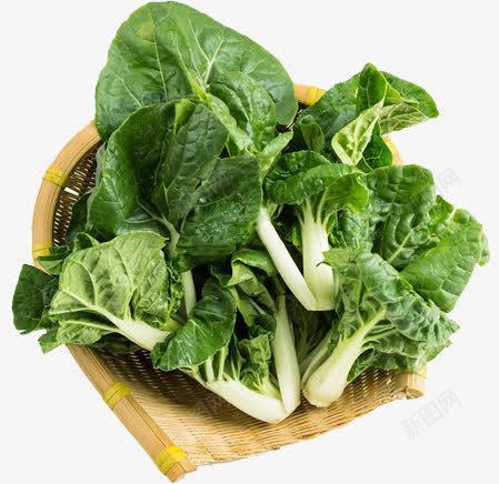 食物蔬菜维生素营养小白菜png免抠素材_新图网 https://ixintu.com 产品 实物 小白菜 维生素 营养 蔬菜 食物
