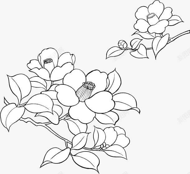 手绘线条黑色花朵图标png_新图网 https://ixintu.com 线条 花朵 黑色