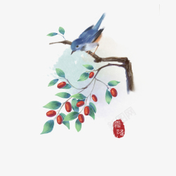 霜降中国风中国风霜降红枣和鸟高清图片