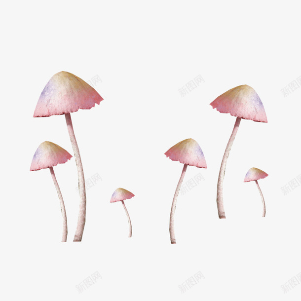 粉色清新小蘑菇装饰图案png免抠素材_新图网 https://ixintu.com 免抠PNG 小蘑菇 清新 粉色 装饰图案
