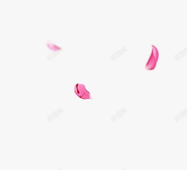 粉色玫瑰花瓣游戏装饰png免抠素材_新图网 https://ixintu.com 玫瑰花 玫瑰花瓣 粉玫瑰花瓣 粉色 粉色玫瑰花瓣 装饰图案