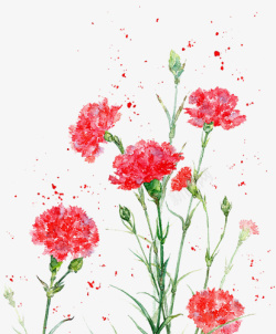 红色水彩唯美花卉图案素材