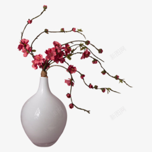 白色花瓶png免抠素材_新图网 https://ixintu.com 白色花瓶 红色植物 陶瓷花瓶