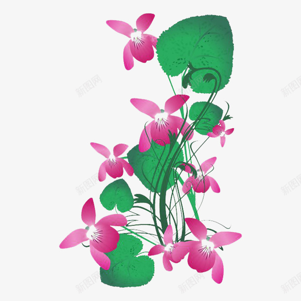 紫花地丁png免抠素材_新图网 https://ixintu.com 植物 紫色花 紫花地丁 花朵 鲜花