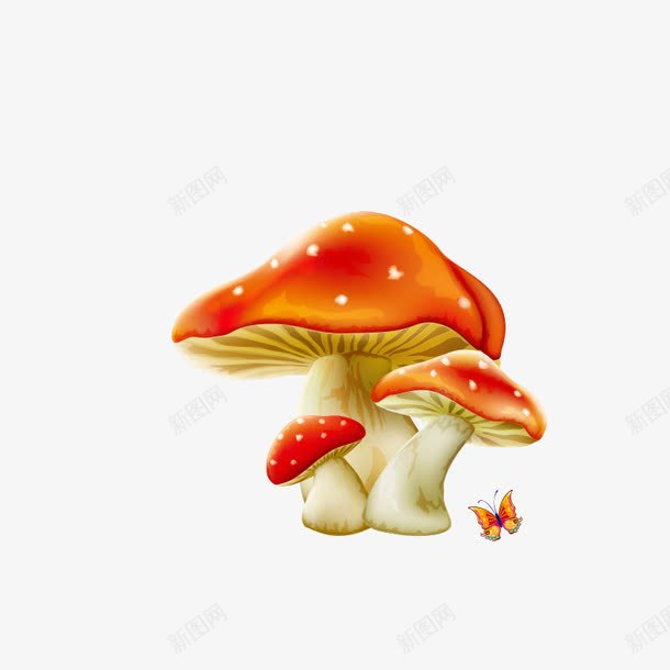 蘑菇菌类png免抠素材_新图网 https://ixintu.com 卡通 卡通蘑菇 菇类 菌类 蘑菇 蝴蝶