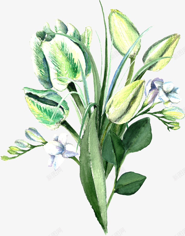 绿植装饰png免抠素材_新图网 https://ixintu.com 叶子 矢量装饰 绿植 绿色 装饰 装饰画