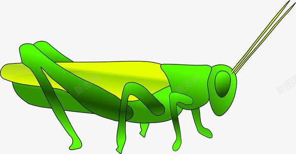 绿色的蟋蟀png免抠素材_新图网 https://ixintu.com 绿色 蟋蟀 触角 跳跃