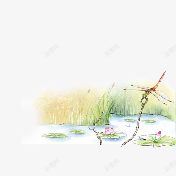 荷塘中的蜻蜓手绘png免抠素材_新图网 https://ixintu.com 素材 荷塘 蜻蜓