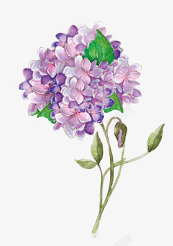 超唯美水彩浪漫超唯美圆形紫色花朵高清图片
