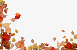 秋日叶子矢量图红色叶子边框高清图片