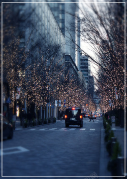 灯树城市街道展板背景高清图片