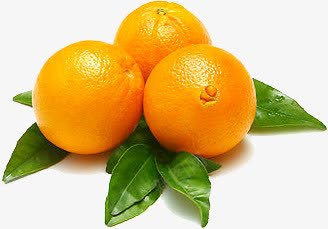 三个橙子png免抠素材_新图网 https://ixintu.com 三个 橙子