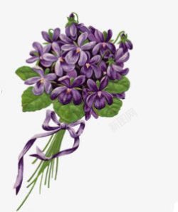 手绘复古紫色花束素材