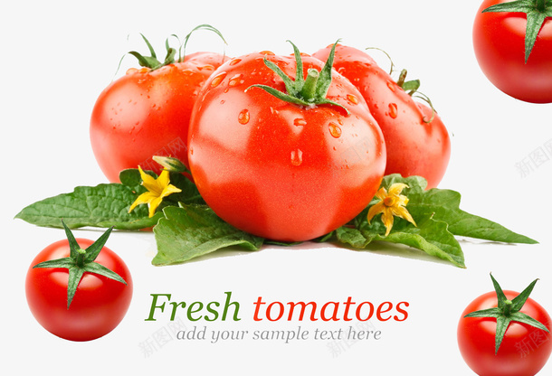 西红柿番茄蔬菜png免抠素材_新图网 https://ixintu.com 番茄 蔬菜 西红柿