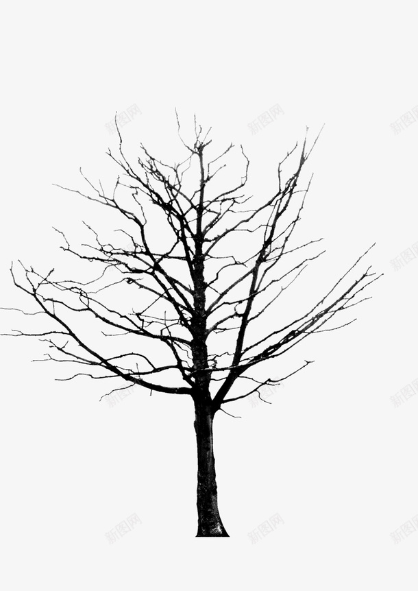 绘画植物树黑白png免抠素材_新图网 https://ixintu.com 树 绘画植物 黑白