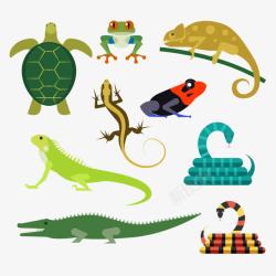 爬虫类动物卡通爬虫类动物高清图片