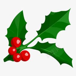 圣诞节日果实树叶png免抠素材_新图网 https://ixintu.com 圣诞 果实 树叶 节日