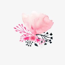水彩木兰花木兰花高清图片