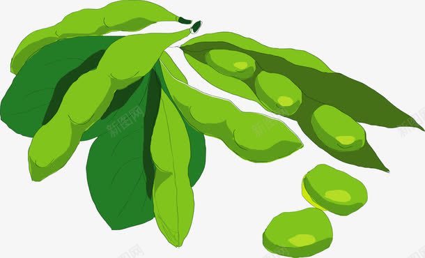 手绘毛豆png免抠素材_新图网 https://ixintu.com 农作物 手绘 毛豆