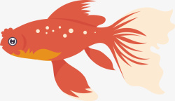 水族馆观赏鱼卡通可爱观赏鱼小金鱼矢量图高清图片