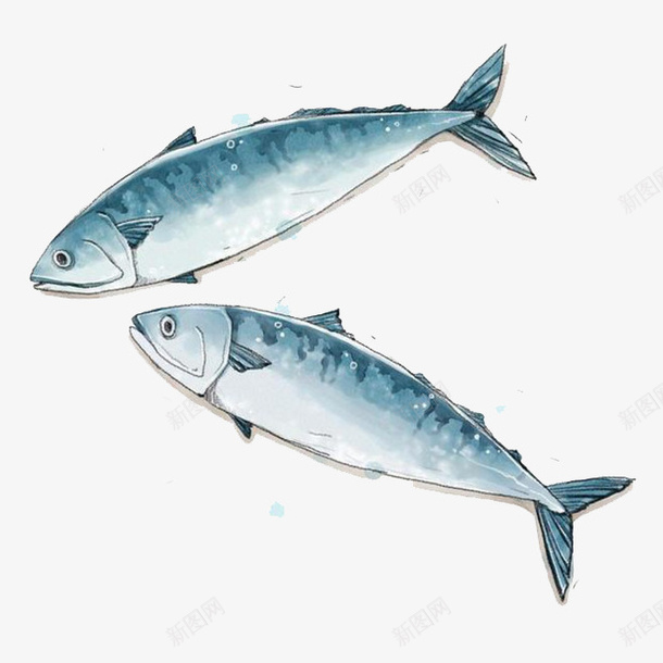 俩条刀鱼png免抠素材_新图网 https://ixintu.com 动物 卡通 手绘 海里 食物 鱼