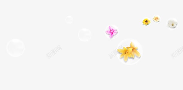 花朵透明泡泡效果元素png免抠素材_新图网 https://ixintu.com 免抠PNG 效果元素 气泡 泡泡 花朵 透明
