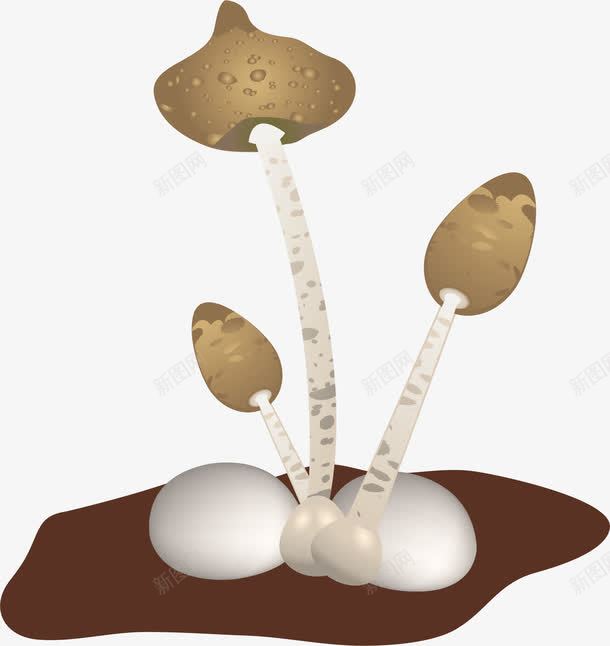 土壤蘑菇png免抠素材_新图网 https://ixintu.com 吃的 土壤 新鲜的 新鲜香菇 食材 鲜香菇 鲜香菇豆腐汤