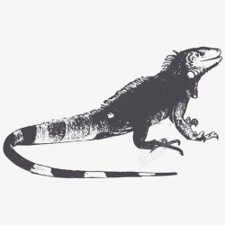 创意蜥蜴卡通手绘黑色的蜥蜴高清图片