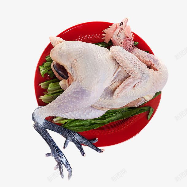 红色盘子装着一只鸡png免抠素材_新图网 https://ixintu.com 产品实物 去毛 食物 鸡肉