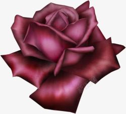 紫色手绘玫瑰花朵素材