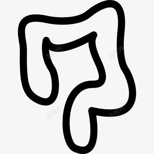 大肠的轮廓图标png_新图网 https://ixintu.com 人 人体 大肠 小肠 概述 身体部位 轮廓部分 部分大