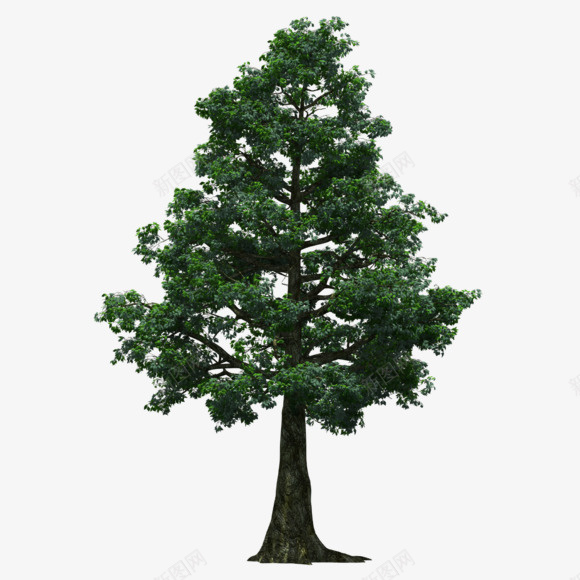 绿色园林公园树木装饰图案png免抠素材_新图网 https://ixintu.com 免抠PNG 公园 园林 树木 绿色 装饰图案