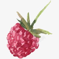 手绘水彩树莓素材