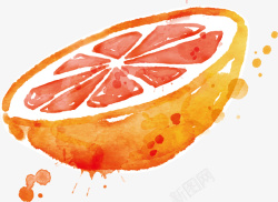 橙子切面图矢量图素材