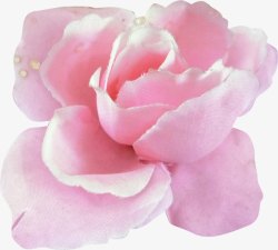 粉色装饰玫瑰花朵素材