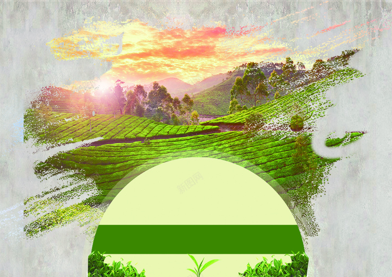 茶山风景背景psd_新图网 https://ixintu.com 摄影 海报 绿色 背景 茶山 风景