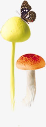 黄红色蘑菇蝴蝶装饰png免抠素材_新图网 https://ixintu.com 红色 蘑菇 蝴蝶 装饰