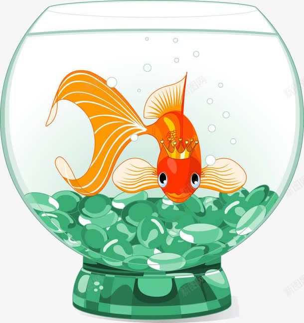 卡通鱼缸里的鱼png免抠素材_新图网 https://ixintu.com 卡通 里的鱼 金鱼 鱼缸