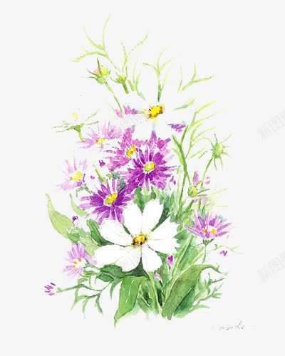 紫色白色的花png免抠素材_新图网 https://ixintu.com 大朵花 漂亮的花 白色的花朵 紫色的花 绿色 鲜花