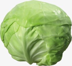 侧面绿色包菜素材