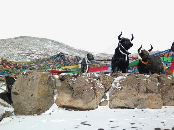 米拉山口景点png免抠素材_新图网 https://ixintu.com 中华人民共和国西藏自治区 中国西藏 旅游景区 米拉山口景点 著名景点 西藏米拉山口