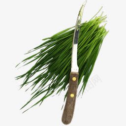鲜切麦草图标png_新图网 https://ixintu.com cut fresh scissor wheatgrass 减少 剪刀 新鲜的 麦草
