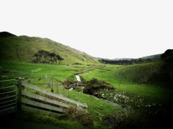 新西兰惠灵顿新西兰景区惠灵顿高清图片