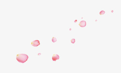 粉色叶片粉色花瓣高清图片